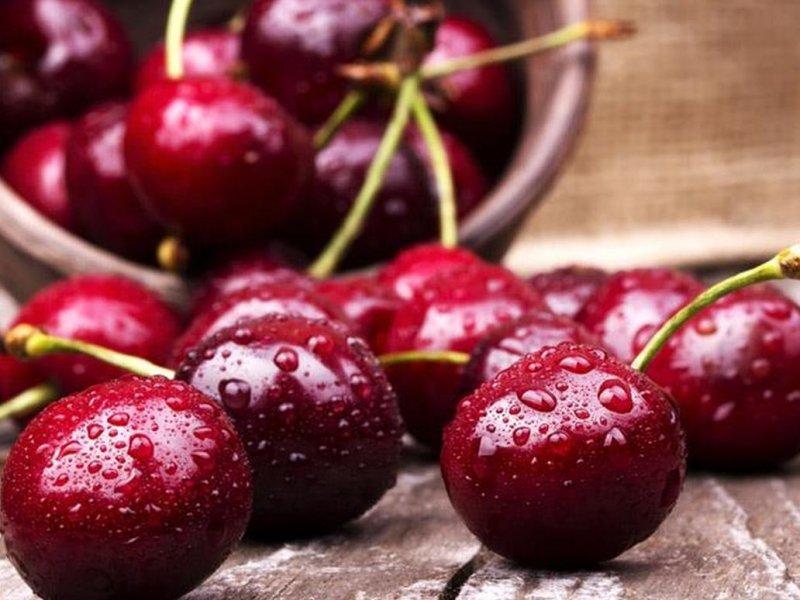 Вишня купить саженцы из питомника в Нефтеюганске